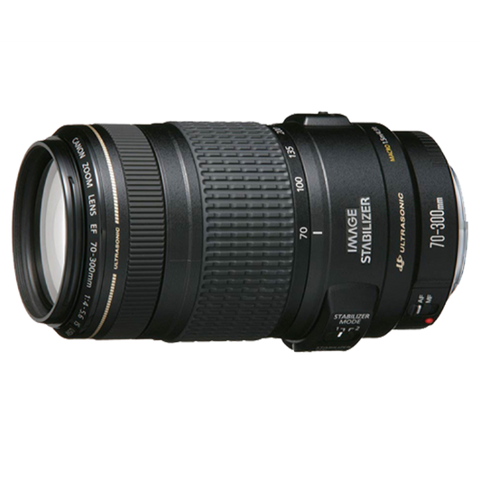 Canon Ef 70-300mm F4-5.6 L Is Usm