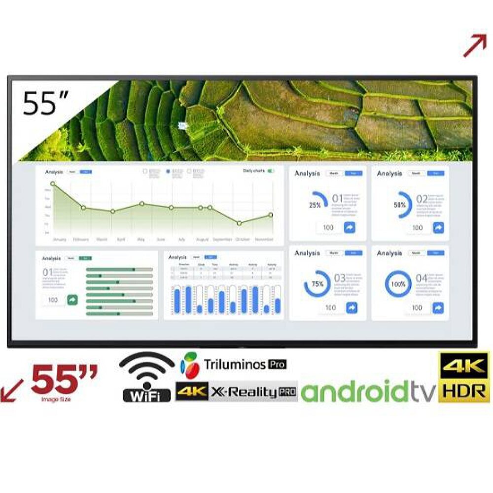 FW-55BZ30L 55 inç 4K HDR profesyonel TV