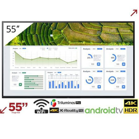 FW-55BZ30L 55 inç 4K HDR profesyonel TV