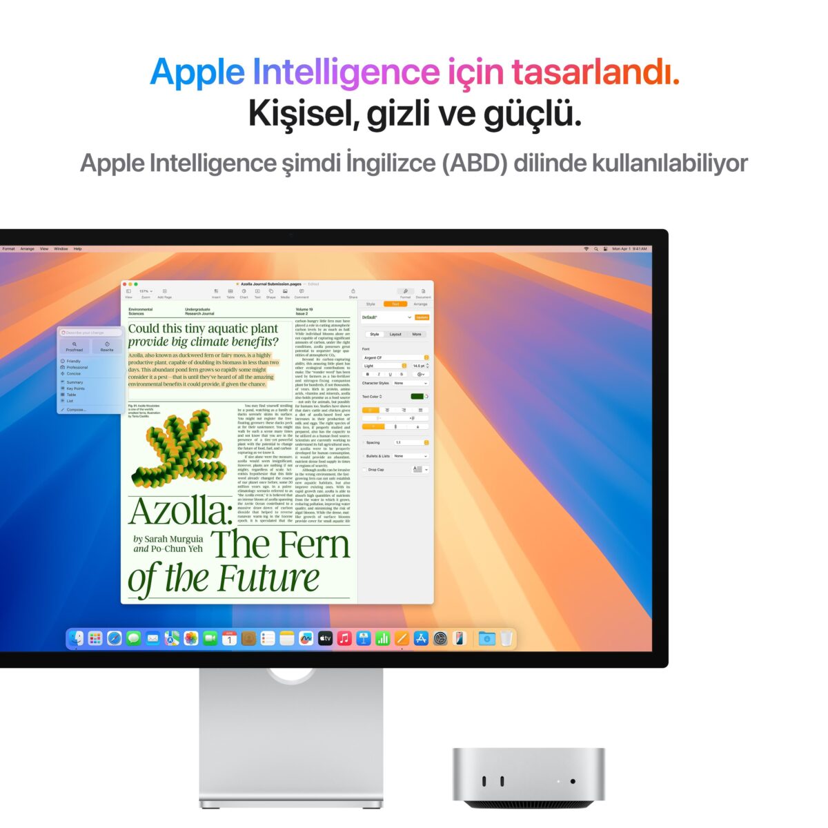 Mac Mini 12-Core CPU 16-Core GPU Apple M4 Pro 48GB 512GB SSD Z1JV000GF - Görsel 4